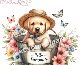 Summer Labrador puppy clipart bundle, Puppy clipart, cute Labrador png files, Black lab png, Dog clipart, Commercial use