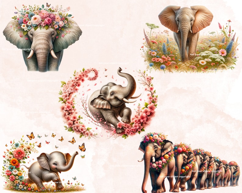 May include: A collection of four digital illustrations featuring elephants with floral accents. The first image shows an elephant with a crown of pink and white flowers. The second image shows an elephant walking through a field of flowers. The third image shows an elephant with a floral wreath around its head. The fourth image shows a line of elephants with floral crowns.