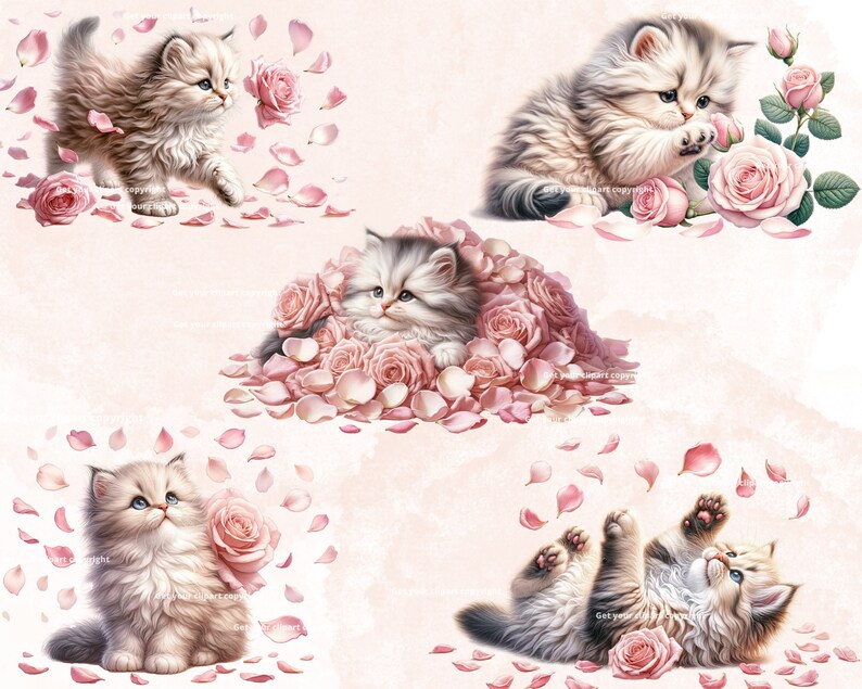 Kitty and Light Pink Roses Clipart Bundle, Kitten Clipart, Cute Cat ...