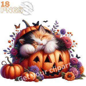 Halloween cat clipart bundle, Halloween clipart, Halloween png graphics, Halloween sublimation, Halloween cat png, With Commercial use image 3