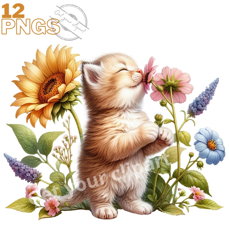 Baby Cat and Flowers Clipart Bundle, Kitten Clipart, Cute Cat Graphics ...