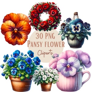 Ensemble d'illustrations de Pensées, Cliparts de fleurs printanières façon aquarelle pour tous vos projets créatifs et professionnels