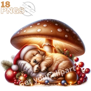 Weihnachtshundebilder, Hunde-PNG-Bilder für Ihre kreativen oder professionellen Projekte, kommerzielle Nutzung inbegriffen
