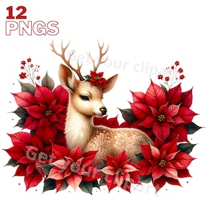 Images de rennes et de fleurs de Noël, Images PNG de rennes pour vos projets créatifs ou professionnels, usage commercial inclus