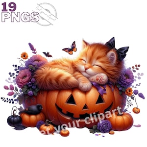 Ensemble d'illustrations de chatons d'Halloween, clipart d'Halloween pour tous vos projets créatifs, usage commercial inclus