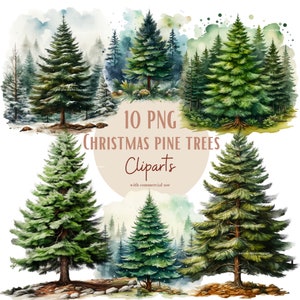 Images de sapins, Images PNG de sapins de Noël idéales pour vos projets personnels et professionnels, usage commercial inclus