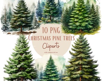 Christmas pine trees clipart bundle, With Commercial use and Transparent background, Set of 10 PNG's