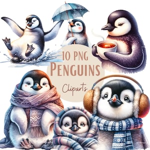 Images de Pingouins, Images PNG de pingouins d'hiver pour vos projets créatifs ou professionnels, usage commercial inclus