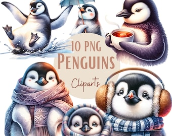 Penguins clipart bundle, Cute penguins, Set of 10, Transparent background, Commercial use, Instant download