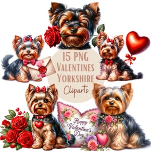 Images de Yorkshire de Saint-Valentin, Images PNG de chiens Yorkshire pour vos projets créatifs ou professionnels, usage commercial inclus