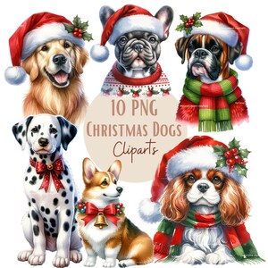 Images de chiens de Noël, Images PNG de chiens pour vos projets créatifs ou professionnels, usage commercial inclus