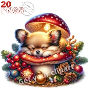 Weihnachtshundebilder, Hunde-PNG-Bilder für Ihre kreativen oder professionellen Projekte, kommerzielle Nutzung inbegriffen