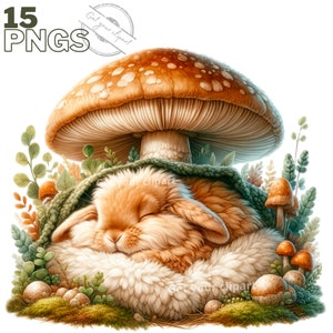 Ensemble d'illustrations de lapins et de champignons de printemps pour tous vos projets créatifs et professionnels, usage commercial inclus