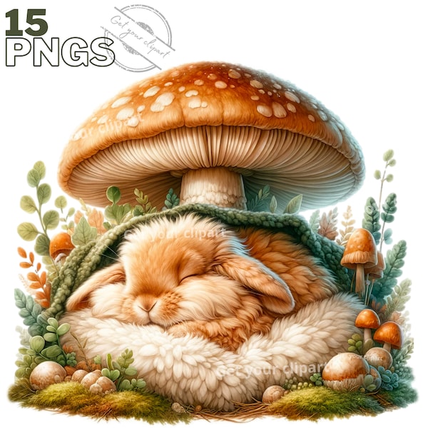 Bunny and mushroom clipart bundle, Spring clipart, Cute bunny graphics, Spring designs, With transparent background and commercial use