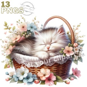 Ensemble d'illustrations de chaton dans un panier floral pour tous vos projets créatifs et professionnels, usage commercial inclus