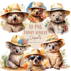 Images de koalas drôles, Images PNG de jolis koalas pour vos projets créatifs ou professionnels, usage commercial inclus