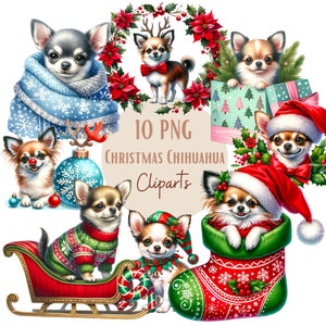 Images de Chihuahua de Noël, Images PNG de chiens Chihuahua pour vos projets créatifs ou professionnels, usage commercial inclus