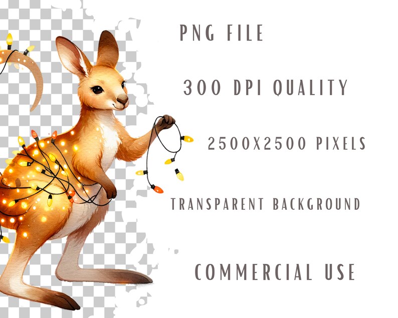 Christmas kangaroo clipart bundle, Australia graphics, Kangaroo clip art designs, Transparent background, Commercial use, Set of 10 image 4