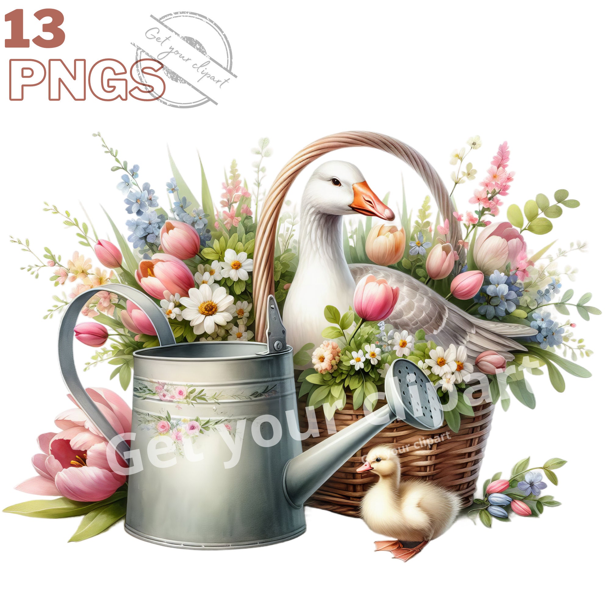 Springtime Goose Spring Goose Clipart Bundle, Watercolor Birds, Watercolor Spring ...