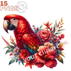 Ensemble d'illustrations d'oiseaux perroquets, Clipart d'oiseaux façon aquarelle pour tous vos projets créatifs et professionnels