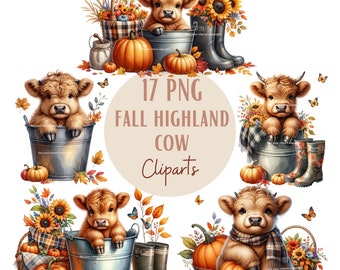 Baby Highland cow clipart bundle, Highland cow clipart, Highland cow graphics, Highland cow designs, With commercial use