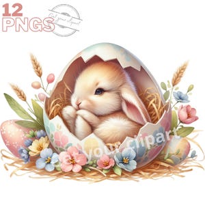 Ensemble d'illustrations de lapin dans un oeuf de Pâques pour tous vos projets créatifs et professionnels, usage commercial inclus