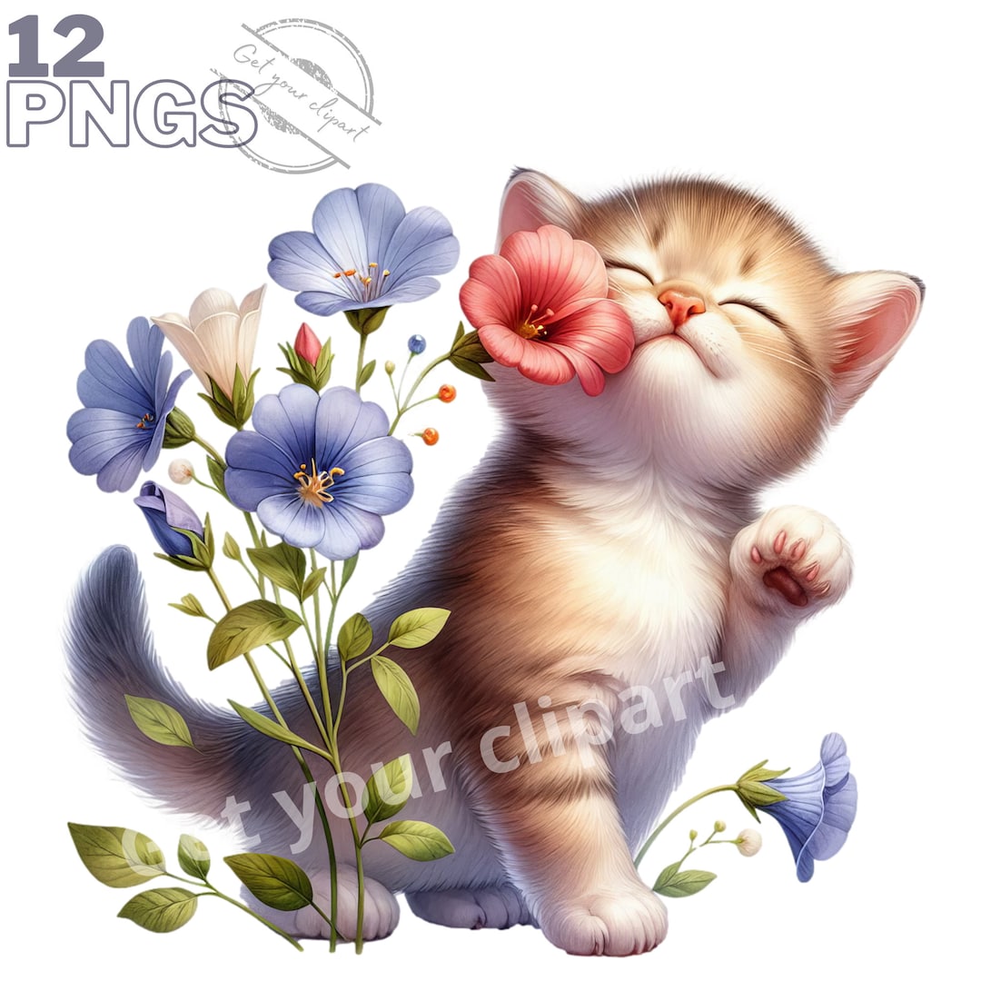 Baby Cat and Flowers Clipart Bundle, Kitten Clipart, Cute Cat Graphics ...