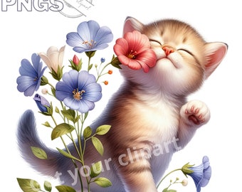 Baby cat and flowers clipart bundle, Kitten clipart, Cute cat graphics, Kitten designs, With transparent background and commercial use