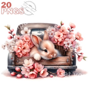 Spring bunny clipart bundle, Spring clipart, Cute bunny graphics, Spring designs, With transparent background and commercial use