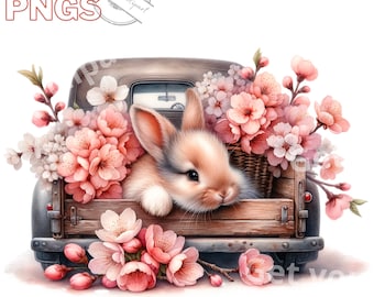 Spring bunny clipart bundle, Spring clipart, Cute bunny graphics, Spring designs, With transparent background and commercial use