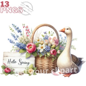 Ensemble d'illustrations d'oies dans un panier fleuri, Clipart d'oiseaux façon aquarelle pour tous vos projets créatifs et professionnels