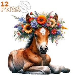Ensemble d'illustrations de poulain de printemps, cliparts de poulain pour tous vos projets créatifs, usage commercial inclus