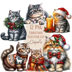 Images de chats Scottish de Noël, images PNG de chats de Noël pour vos projets créatifs ou professionnels, usage commercial inclus