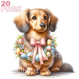 Images de Teckel de Pâques, Images PNG de chiens Teckel pour vos projets créatifs ou professionnels, usage commercial inclus