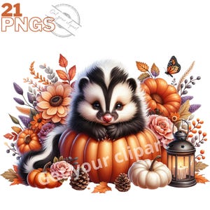 Ensemble d'illustrations d'animaux sauvages, cliparts d'automne pour tous vos projets créatifs et professionnels, usage commercial inclus