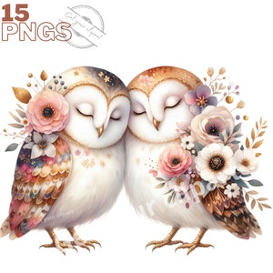 Ensemble d'illustrations de Chouettes et hiboux, clipart floral pour tous vos projets créatifs et professionnels, usage commercial inclus