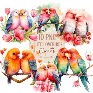 Ensemble d'illustrations d'oiseaux amoureux, Cliparts romantiques façon aquarelle pour tous vos projets créatifs et professionnels