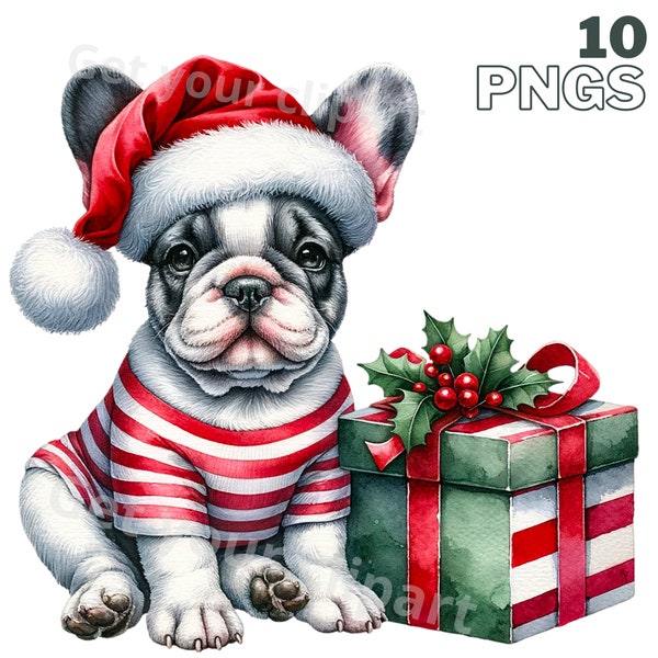 Christmas French bulldog png graphics, Watercolor dog clipart, Set of 10, Transparent background, Commercial use, Instant download