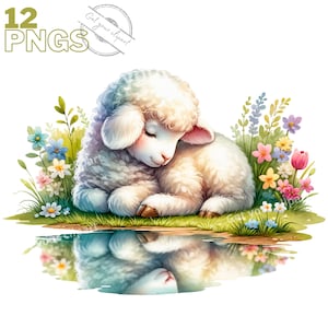 Images d'agneaux de printemps et de Pâques, Images PNG de jolis agneaux pour vos projets créatifs ou professionnels, usage commercial inclus