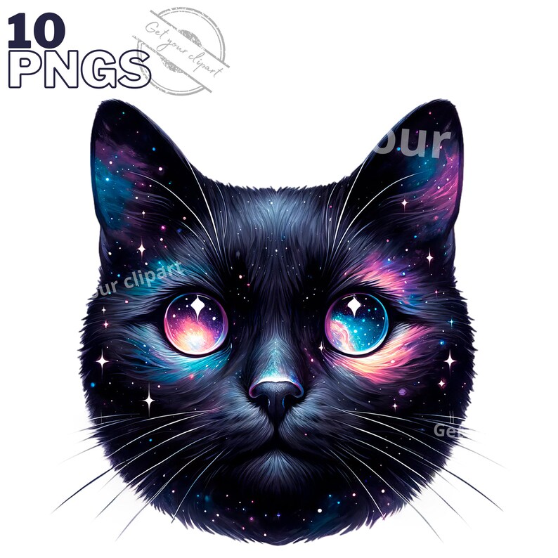 May include: A black cat with a galaxy pattern on its fur and glowing blue and pink eyes. The cat's fur is detailed with stars and nebulae.