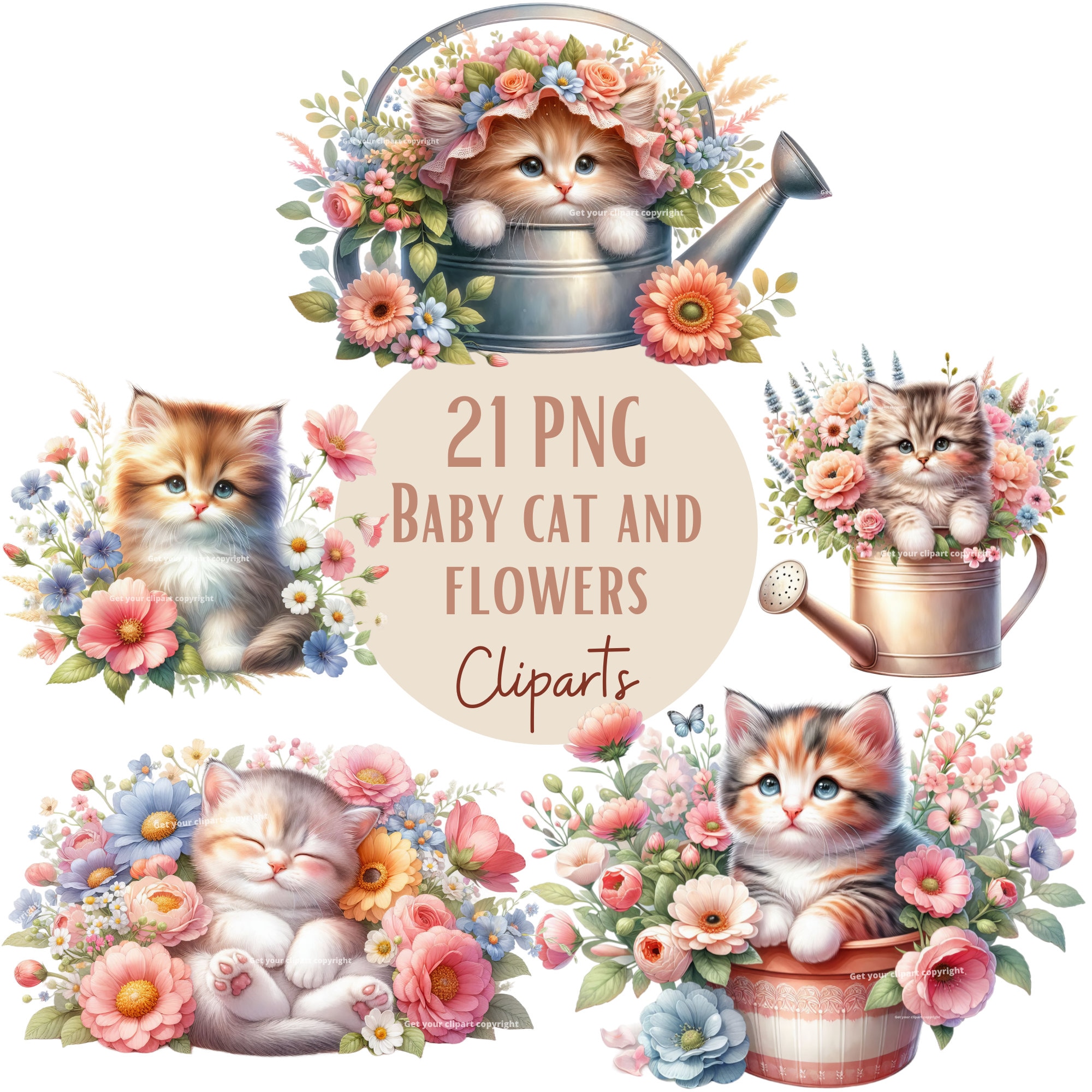 Baby Cat and Flowers Clipart Bundle, Kitten Clipart, Cute Cat Graphics ...