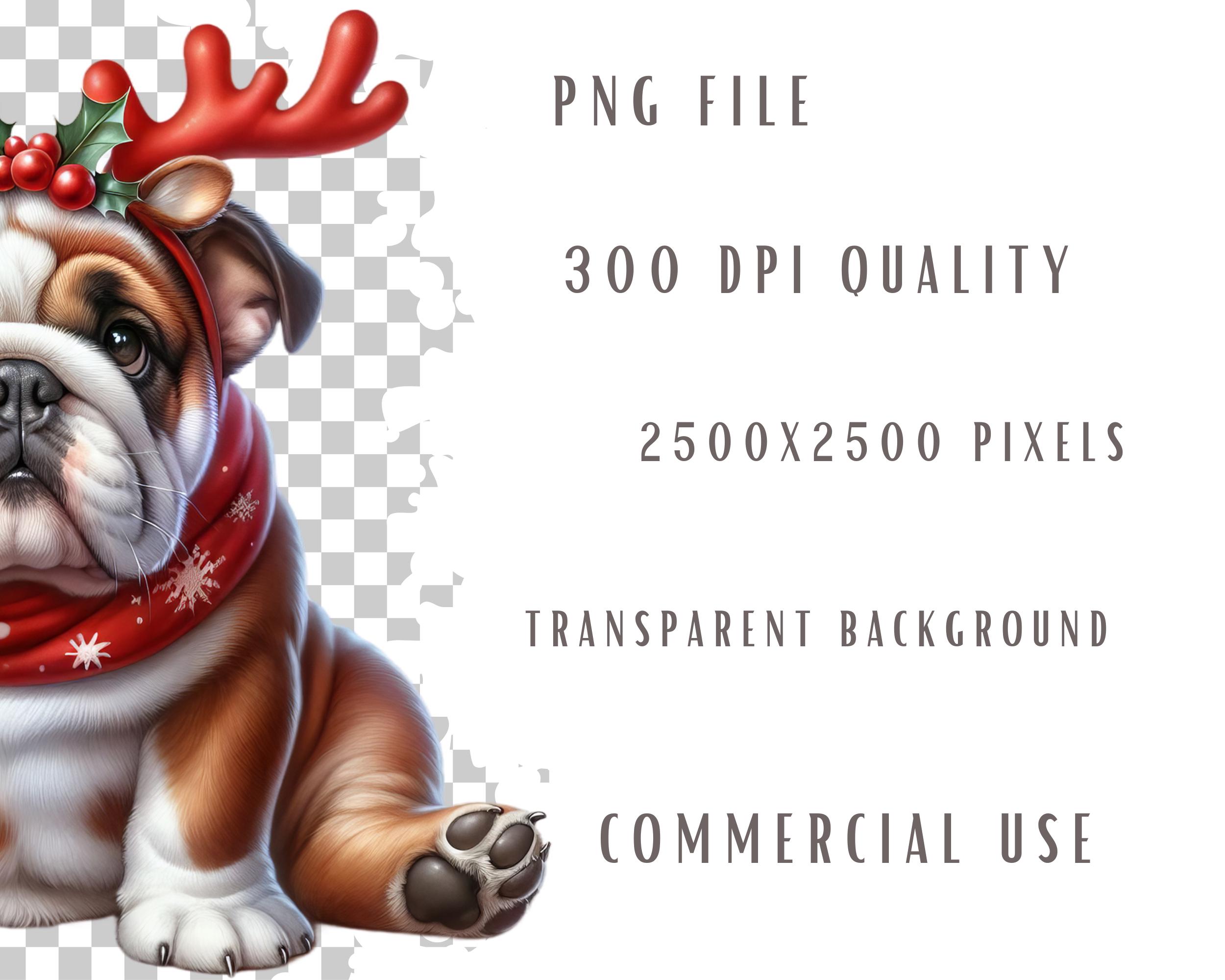 Weihnachts-Gartenflagge Englische Bulldogge – 30,5x45,7 Cm, Doppelseitig, Wetterfest, Für Hof & Veranda