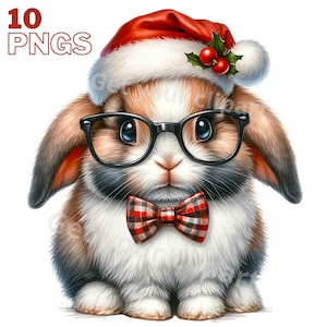 Imágenes de conejito de Navidad, imágenes PNG de conejito de Navidad para sus proyectos creativos o profesionales, uso comercial incluido