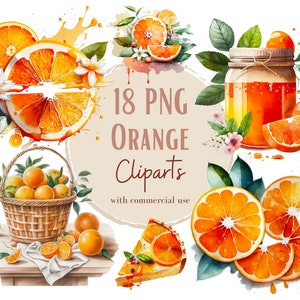 Image d'oranges, oranges png, clipart d'oranges façon aquarelle pour tous vos projets créatifs ou professionnels, usage commercial inclus