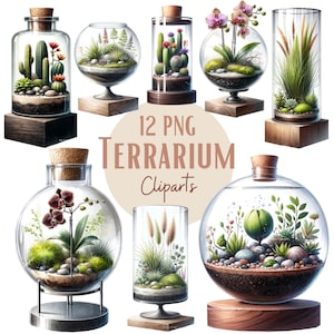 Set terrariumillustraties, clipart voor al uw creatieve en professionele projecten, met commercieel gebruik