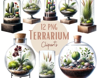 Watercolor clipart terrarium, Botanical clipart, With transparent background and commercial use