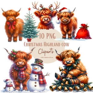 Weihnachts-Highland-Bilder, Weihnachtskuh-PNG-Bilder für Ihre kreativen oder professionellen Projekte, kommerzielle Nutzung inbegriffen