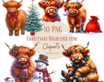 Immagini delle Highland di Natale, immagini PNG della mucca di Natale per i tuoi progetti creativi o professionali, uso commerciale incluso