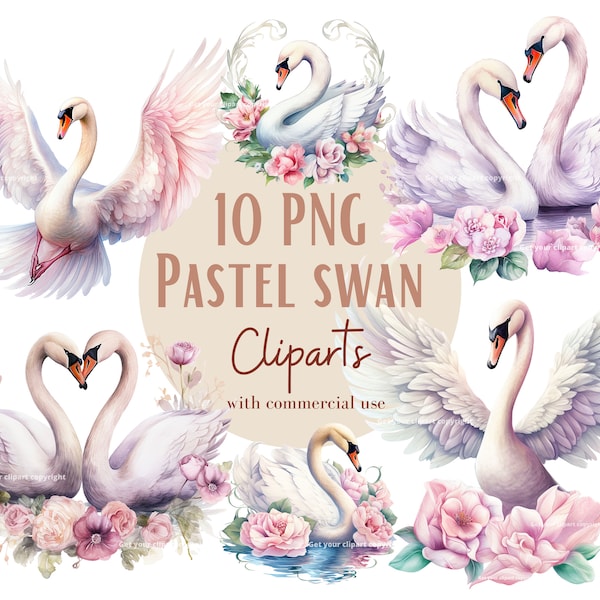 Swan Graphics Bundle, Bird Clipart Set of 10, Transparent Background, Commercial Use, Digital Downloads