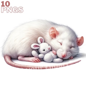 Ensemble d'illustrations de rats mignons avec une peluche, Cliparts de rongeur façon aquarelle pour tous vos projets créatifs